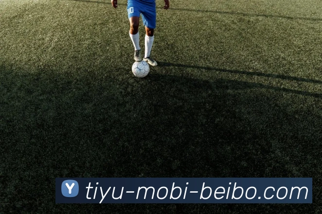 贝博体育APP 封面图