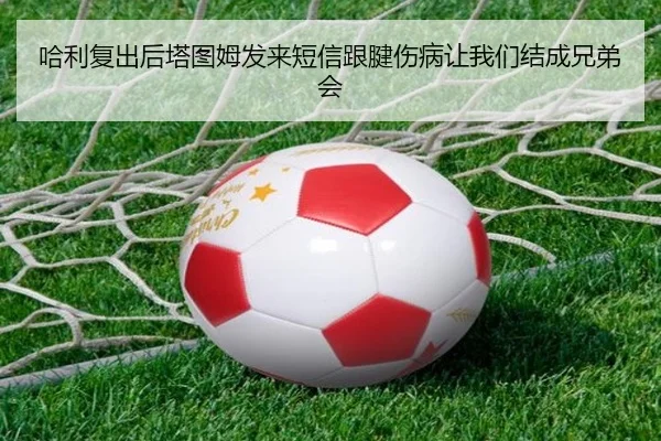 哈利复出后塔图姆发来短信跟腱伤病让我们结成兄弟会